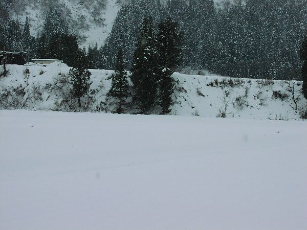田んぼはすっかり雪で覆われました