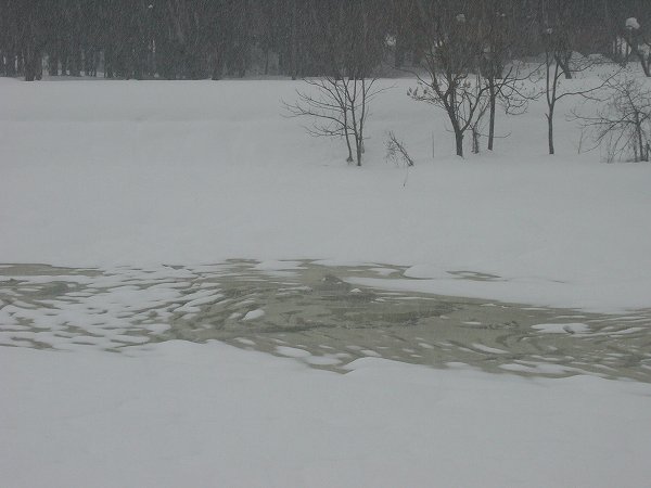 雪が解けて水無川の水面が見えてきました