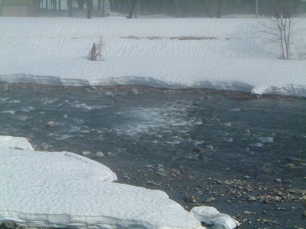 水無川には清らかな雪解け水が流れています