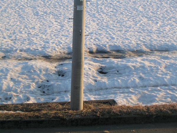 一日でかなり雪解けが進みました＠魚沼産コシヒカリの田んぼ