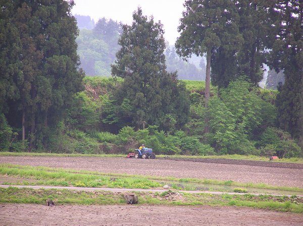 雨上がりの田んぼでトラクターが働いています