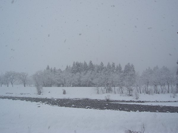 新潟県南魚沼市では激しく雪が降っています