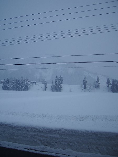 魚沼産コシヒカリの田んぼでは今日も雪が降りましたが、あまり積もっていません