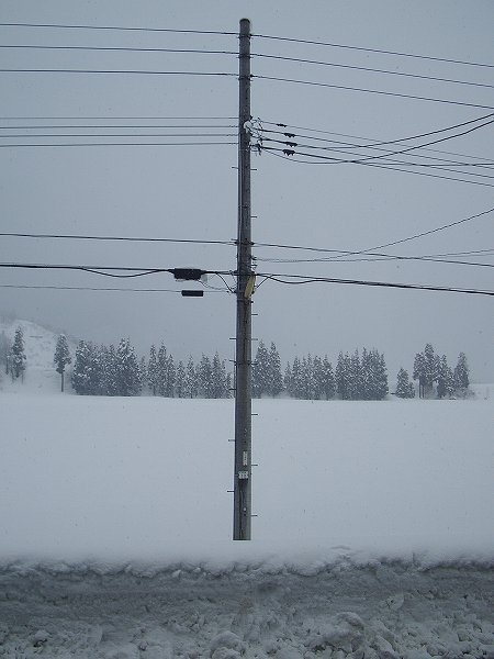 魚沼産コシヒカリの田んぼでは昨晩から30cmくらいの雪が積もりました