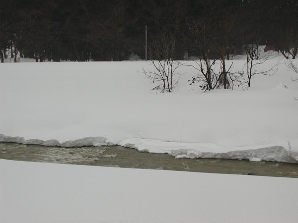 雪が解けて水無川の水面が出てきました