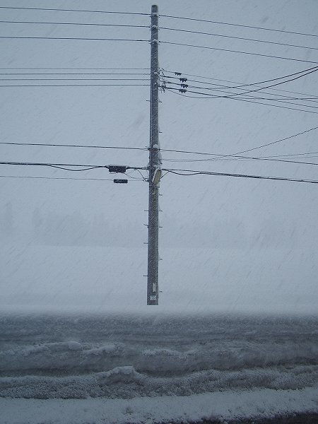 魚沼産コシヒカリの田んぼでは昨日から 40cm くらいの雪が積もりました