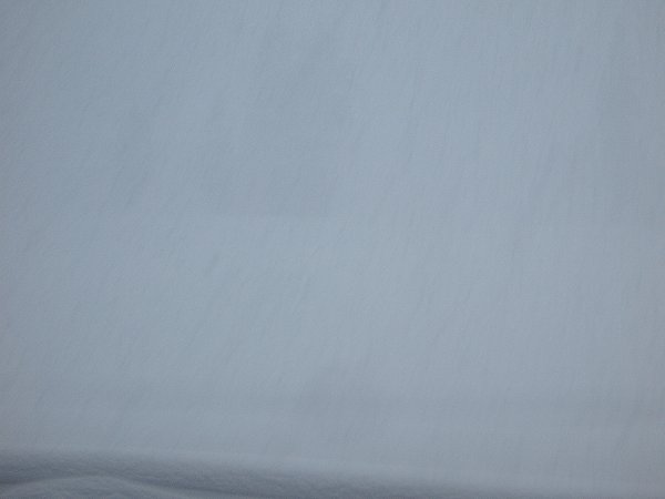 魚沼産コシヒカリの田んぼでは激しく雪が降っています