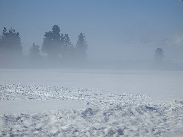 魚沼産コシヒカリの田んぼでは霧が晴れてまぶしい朝日と青空が見えてきました