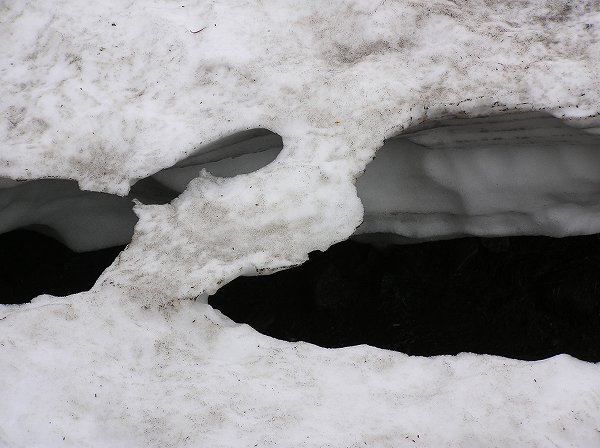 裏の水路を覆っていた雪がこんなに薄くなりました