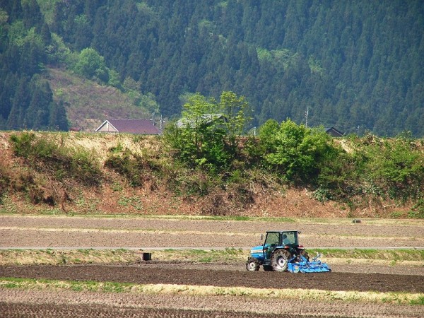 田んぼでトラクターによる田起こし作業が行われています