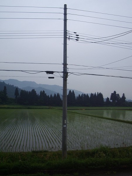 新潟県南魚沼市は雨降りで気温が低いです