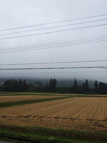 田んぼの向こうが霧で覆われています
