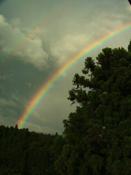 東の空にきれいな虹が架かっています