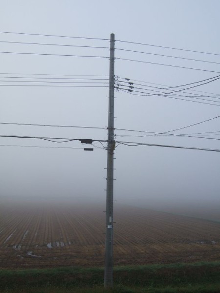 今朝は霧に覆われて視界が悪いです