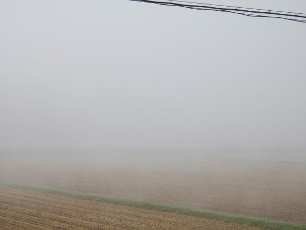 この時間はまだ霧に覆われています