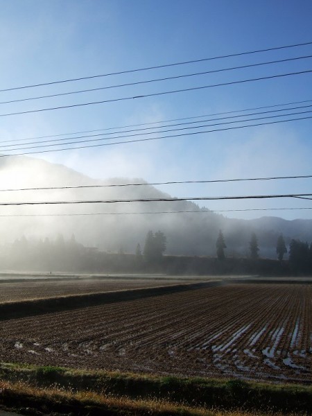 田んぼを覆っていた霧が晴れて青空が見えてきました