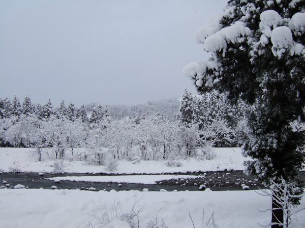新潟県南魚沼市は真っ白な冬景色になりました