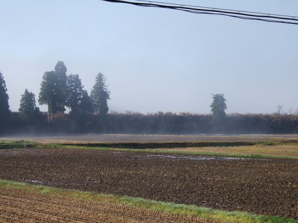 田んぼを覆っていた霧が晴れて青空が見えてきました