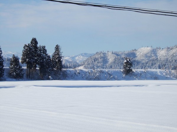 青空が広がり、陽ざしが田んぼの雪面に当たってまぶしいです