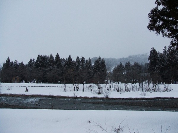 気温は低いのですが、水無川の土手が見えてきていて冬らしさを感じません