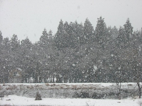 新潟県南魚沼市の天気は雨から雪に変わりました