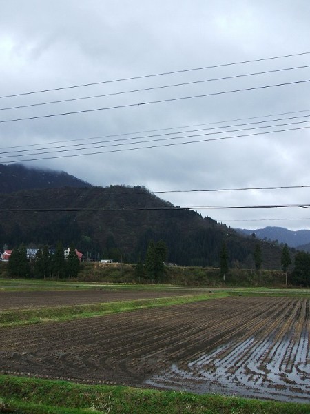 今朝の新潟県南魚沼市は雨降りです