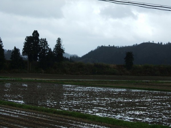 今朝の新潟県南魚沼市は雨降りです