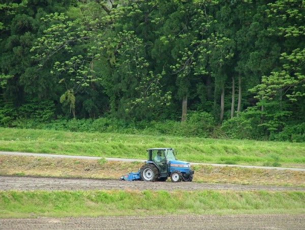 トラクターによる田起こし作業