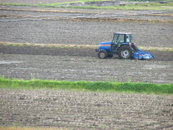 トラクターによる田起こし作業