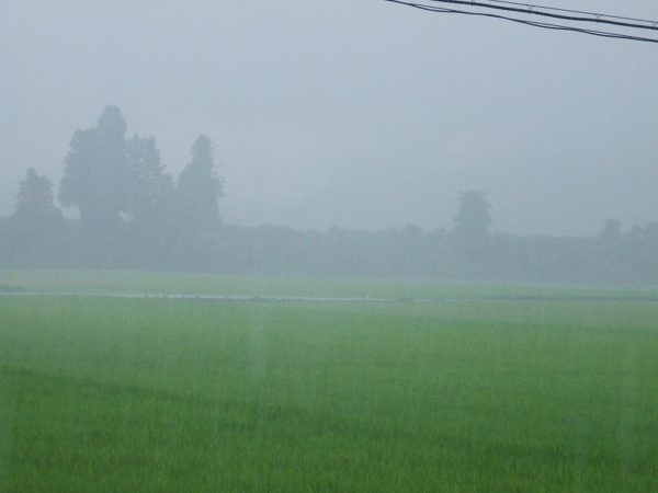 昨晩から断続的に強い雨が降っています