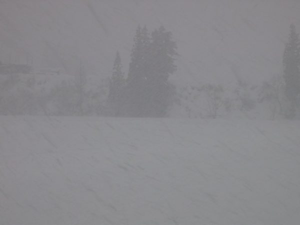 魚沼産コシヒカリの田んぼは大雪になりました